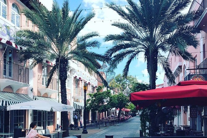 Private Miami City Sightseeing Tour - Downtown Miami, Museum Park, and the city’s beginnings