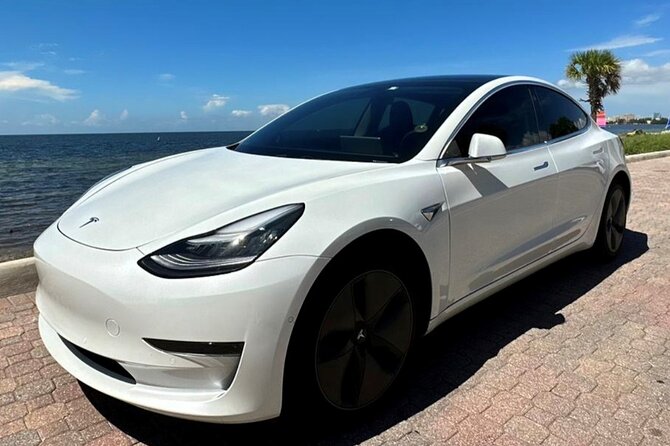 Private Miami City Tour in Tesla with local expert - Wynwood’s Walls and One Hour on Foot