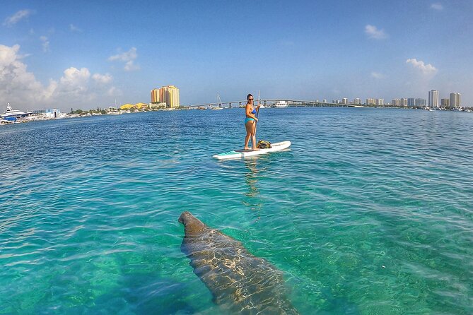 Private Paddle Boarding Activity to Peanut Island - Starting at Jim Barry Light Harbor Park in Riviera Beach
