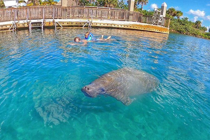 Private Paddle Boarding Activity to Peanut Island - What the naturalist guide adds