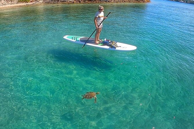 Private Paddle Boarding Activity to Peanut Island - Reaching Peanut Island and choosing your route