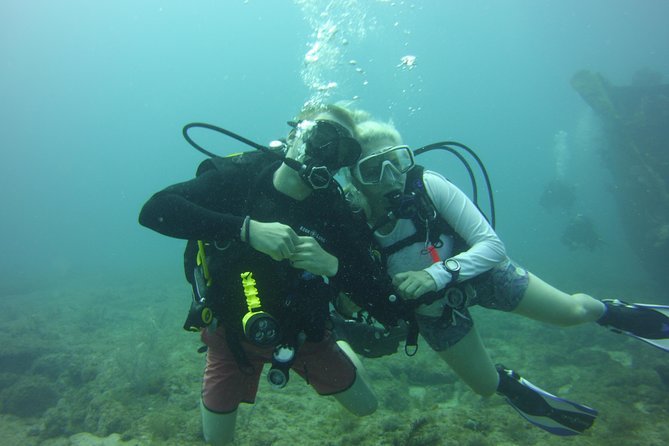 Private SCUBA Dive the reefs of Key Largo for up to 8 certified divers - Christ of the Deep and the Pennekamp reefs