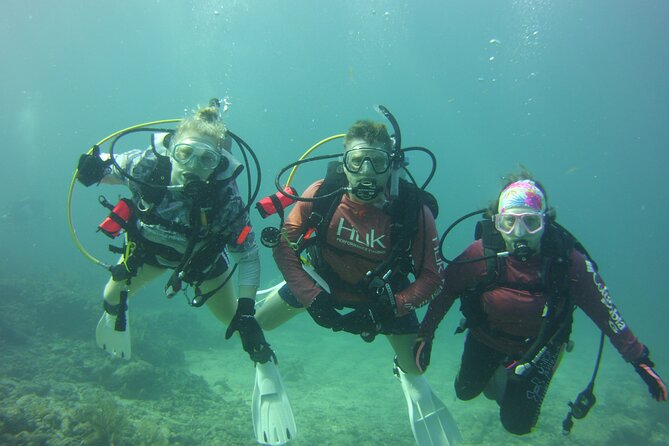 Private SCUBA Dive the reefs of Key Largo for up to 8 certified divers - The value of $950 for a group of eight
