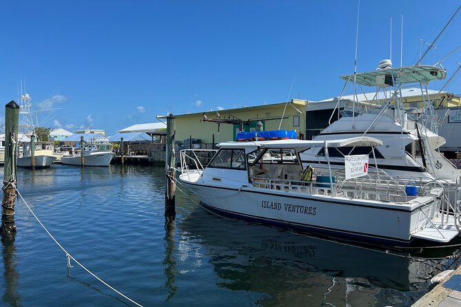 Private SCUBA Dive the reefs of Key Largo for up to 8 certified divers - Who will get the most from this outing