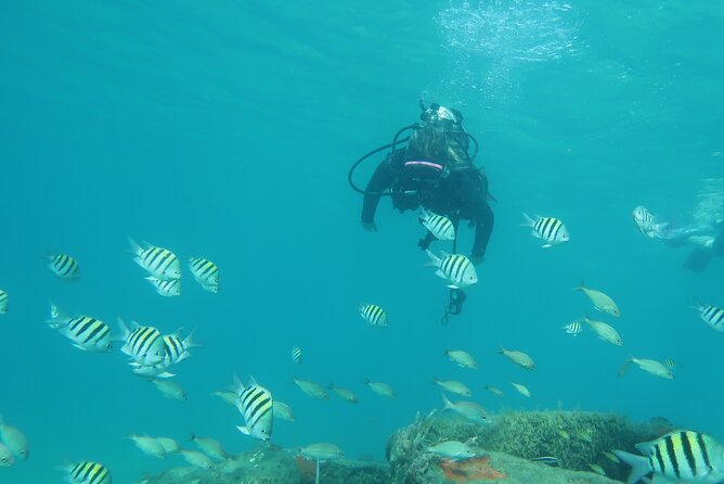 Private Scuba Diving Expert-Led Excursion Training with Tour - Following the underwater trail