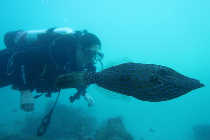 Private Scuba Diving Expert-Led Excursion Training with Tour - Who will enjoy this most?
