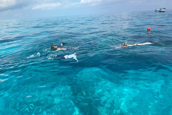 Private Snorkel to Key Largo Reef for up to 12 - INCLUDES GEAR! - A private boat makes the reef easier to enjoy