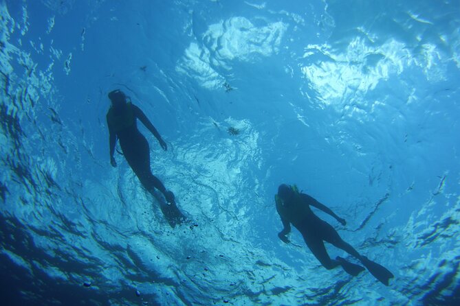 Private Snorkel to Key Largo Reef for up to 12 - INCLUDES GEAR! - Who will get the most from this Key Largo trip