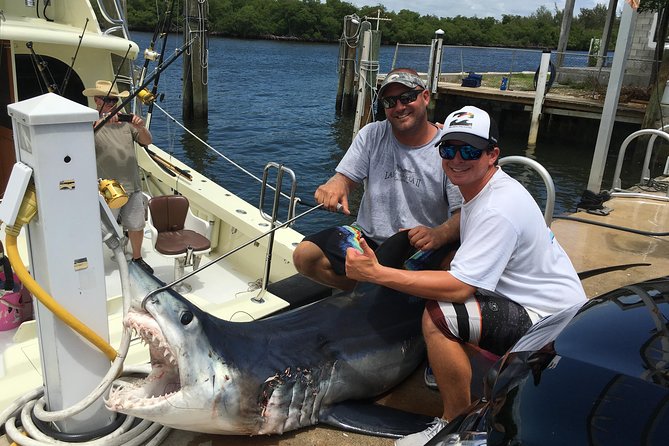 Private Sportfishing Charter For Up To 6 People - Why the Shark Fishing Is the Big Draw