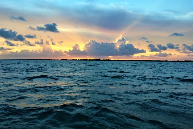Private Sunset Cruise in Key Largo - Who should book this cruise?
