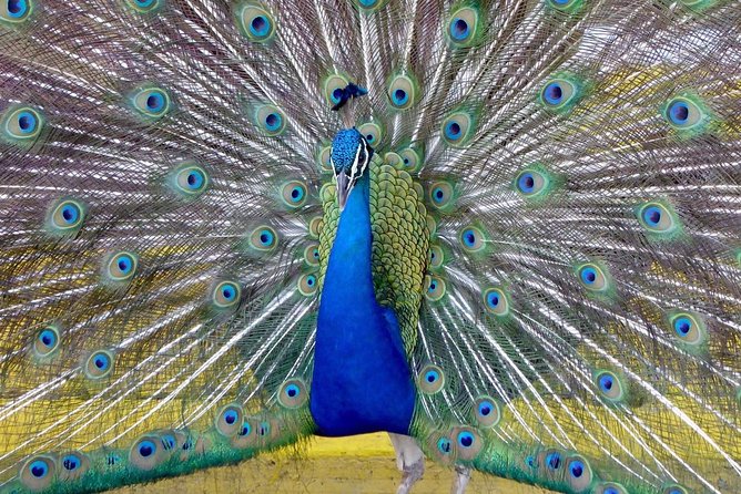 Private Tour: Florida Everglades Airboat Ride and Wildlife Adventure - The reptile exhibit adds value after the boat ride
