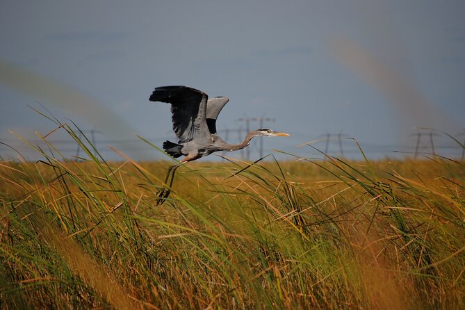 Private Tour: Florida Everglades Airboat Ride and Wildlife Adventure - How the private price works