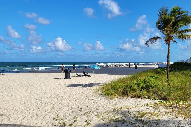 Private Transfer from Miami Airport to Hotel or Port Miami. - Child seats and family travel