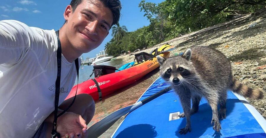 Raccoon Island: Exploration on SUP/Kayak - Who should book this Biscayne Bay adventure?