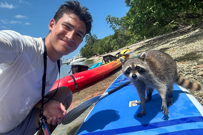 Raccoon Island: Exploration on SUP/Kayak - The mangrove paddle and Osprey Nature Preserve