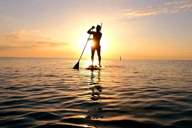 Reef Snorkel & Ocean Paddle Adventure in Fort Lauderdale Beach - Looking for fish with Cassie, Jason, or another guide