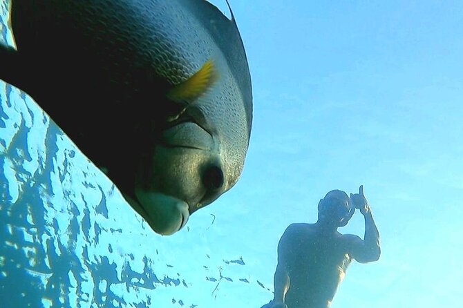 Reef Snorkel & Ocean Paddle Adventure in Fort Lauderdale Beach - Weather, safety, and comfort