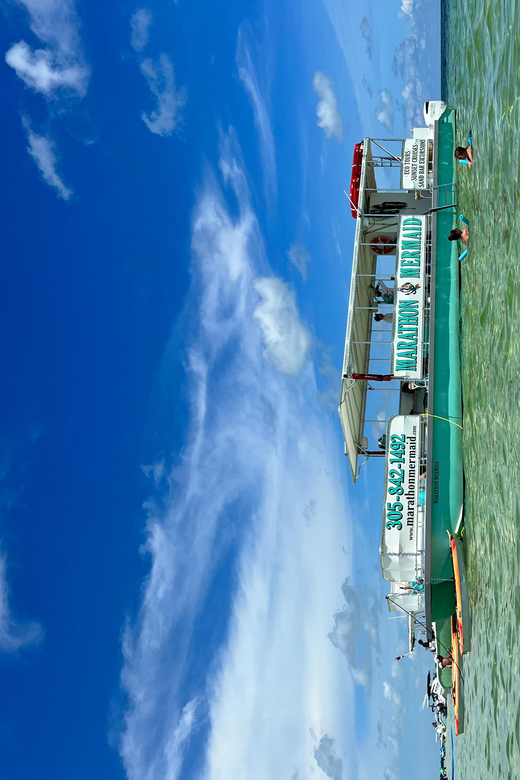 Sandbar Excursion - Vacation Like the Locals Do! - Key points to know before you book