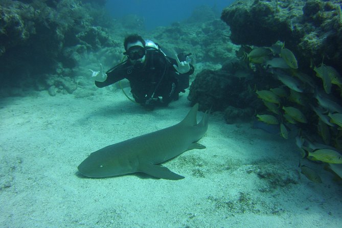 SCUBA Dive Key Largo Reef (min 6 divers) - Why the six-person limit matters