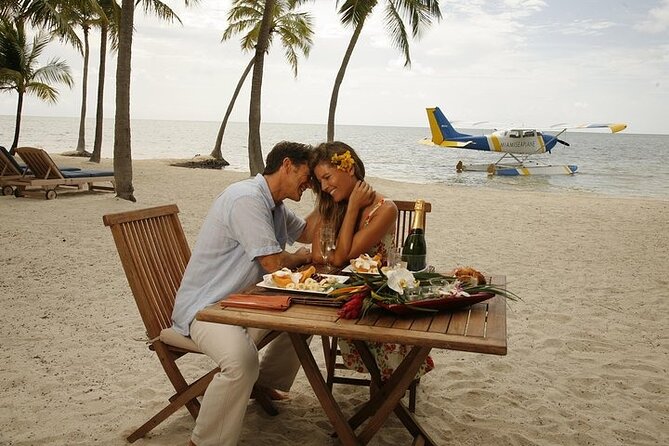 Seaplane Private Flight from Miami with Lunch in the Florida Keys - Looking for turtles, sharks, and coral below