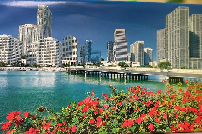 See it All in One Tour!! 6hr VIP Full Experience of Miami!! - Starting at Bayside Marketplace