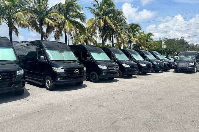 Shuttle Service from Miami Airport & Hotels to Port of Miami - Key points to know before booking