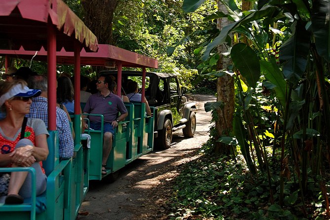 Skip the Line: Flamingo Gardens Admission Ticket in Fort Lauderdale - How Much Time to Allow and What to Eat