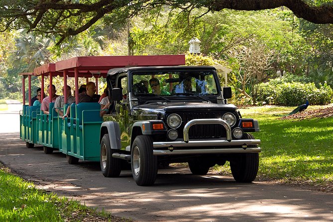 Skip the Line: Flamingo Gardens Admission Ticket in Fort Lauderdale - Is the $23.95 Ticket Good Value?