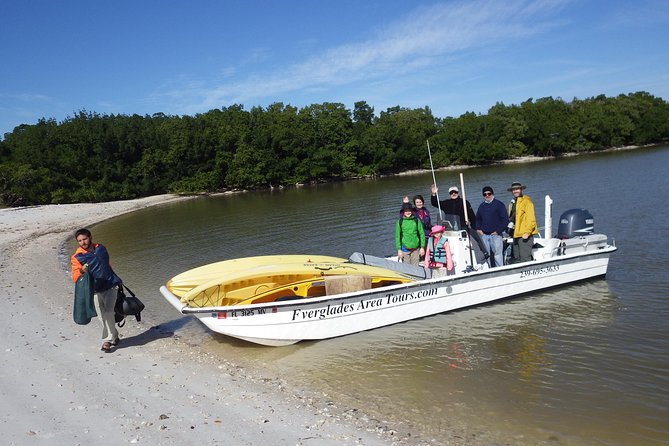 Small Group Boat, Kayak and Walking Guided Eco Tour Everglades - What the naturalist guide adds
