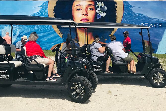 Small-Group Brewery Golf Cart Tour of Wynwood with a Local Guide - Why a golf cart works so well in Wynwood