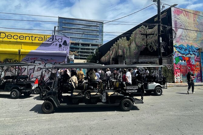 Small-Group Brewery Golf Cart Tour of Wynwood with a Local Guide - The Wynwood Art District: a fast tour through an open-air gallery