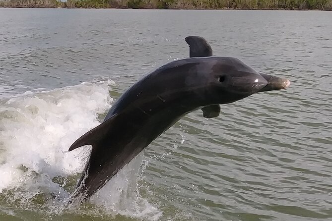 Small-Group Everglades Boating Kayaking and Walking Eco Tour - Starting at Chokoloskee and entering the Ten Thousand Islands