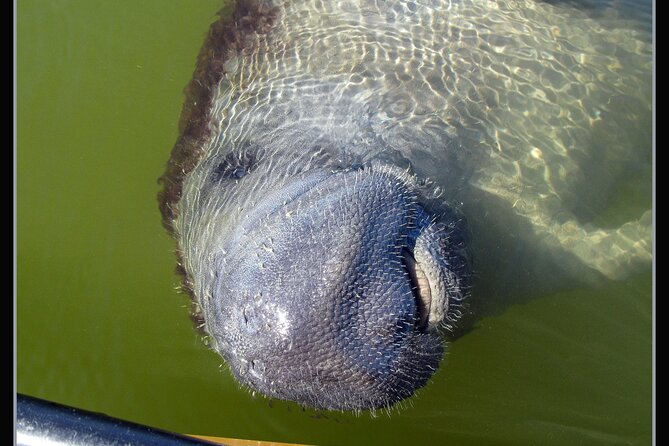 Small-Group Everglades Boating Kayaking and Walking Eco Tour - Walking a barrier island