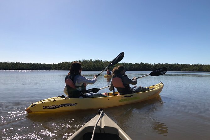Small-Group Everglades Boating Kayaking and Walking Eco Tour - The guide is a major part of the value
