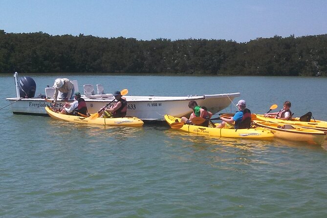 Small-Group Everglades Boating Kayaking and Walking Eco Tour - What the boat ride adds