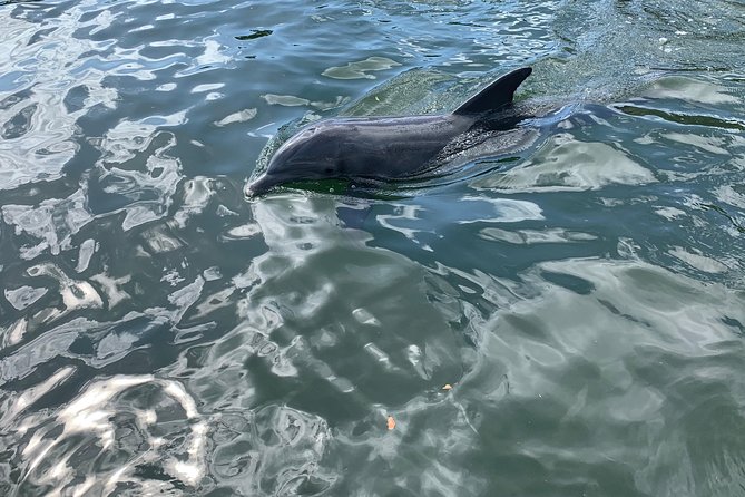 Small Group Florida Keys Eco Tour by Boat - What the captains add to the hour and a half