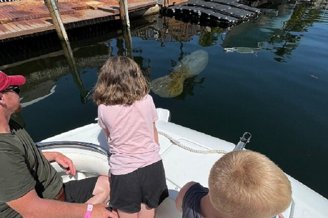Small Group Florida Keys Eco Tour by Boat - Mangroves, shallow water, and the living coast