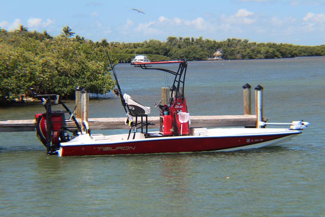 Small-group private Key West tour with expert guide - Timing, pickup, and the day’s practical rhythm