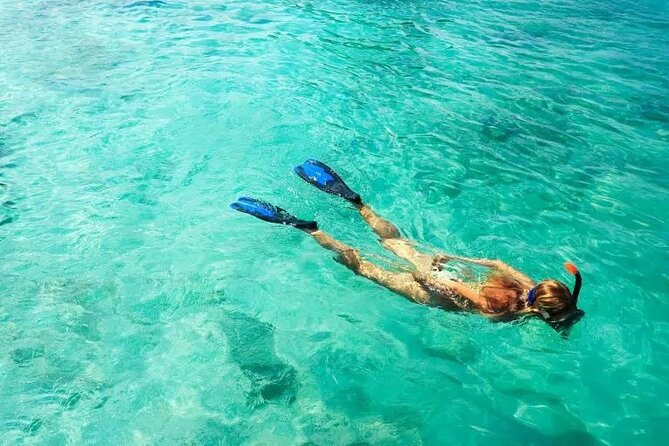 Snorkel Fort Lauderdale Jean Cousteaus Reef and Snorkel Trail - Key points to know before booking