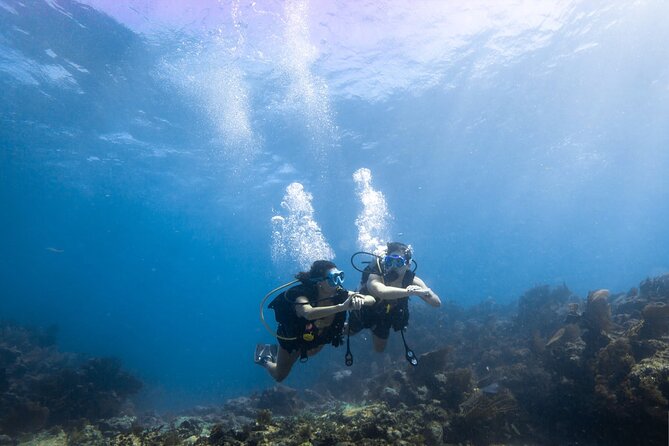 Snorkel Tour - Visit 2 Shallow Reefs John Pennekamp State Park - What is included for $78