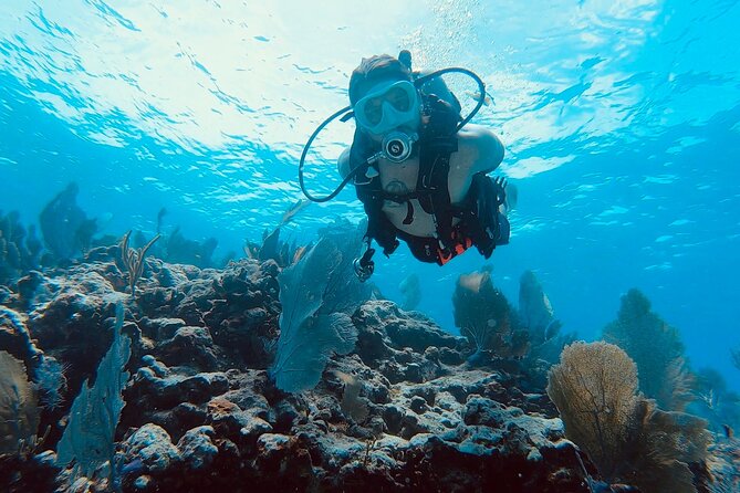 Snorkel Tour - Visit 2 Shallow Reefs John Pennekamp State Park - What the three-hour schedule feels like