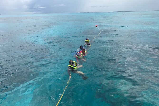 Snorkel Tours to Key Largo reef for up to 6 people-INCLUDES GEAR! - Key points before you book
