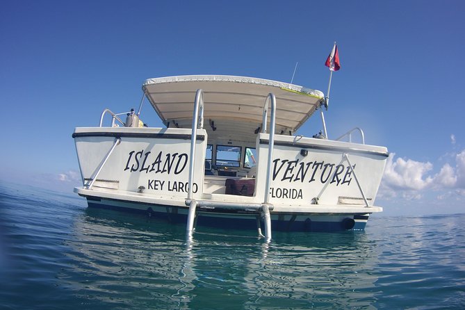 Snorkel Tours to Key Largo reef for up to 6 people-INCLUDES GEAR! - Two one-hour sessions, not one rushed swim