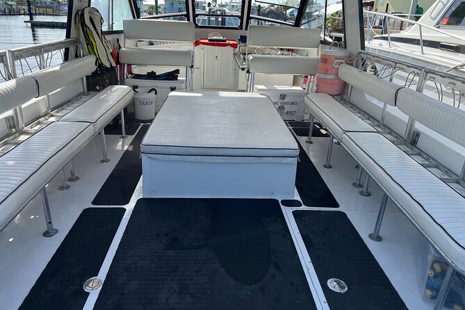 Snorkel Tours to Key Largo reef for up to 6 people-INCLUDES GEAR! - Fitness, comfort, and realistic expectations