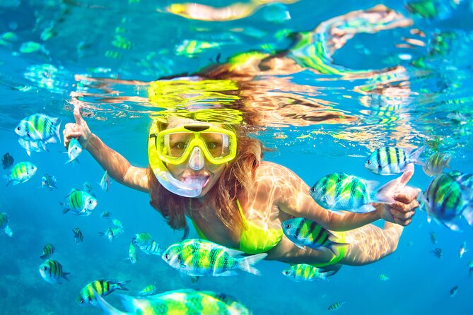 Snorkel Tours to Shallow Coral Reefs at Pennekamp Underwater Park - Christ of the Deep, the tour’s most unusual sight