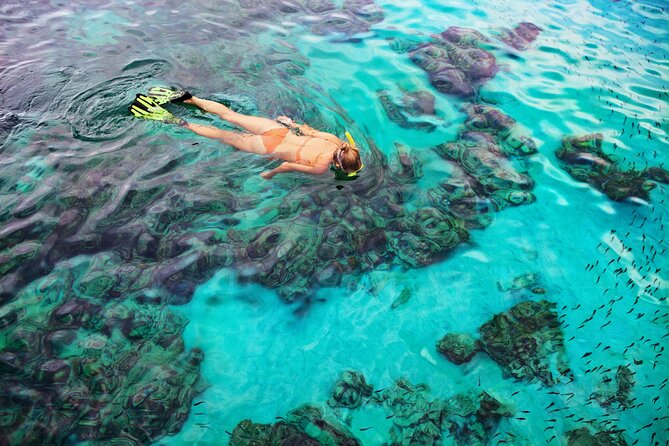 Snorkel Tours to Shallow Coral Reefs at Pennekamp Underwater Park - Equipment: what is included and what is not