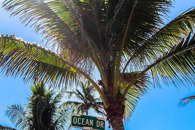 South Beach Golf Cart Tour - Riding down Ocean Drive