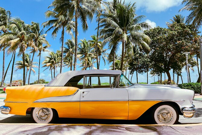 South Beach Top Highlights Tour with Lincoln Rd and Espanola Way - Who will get the most from this experience?
