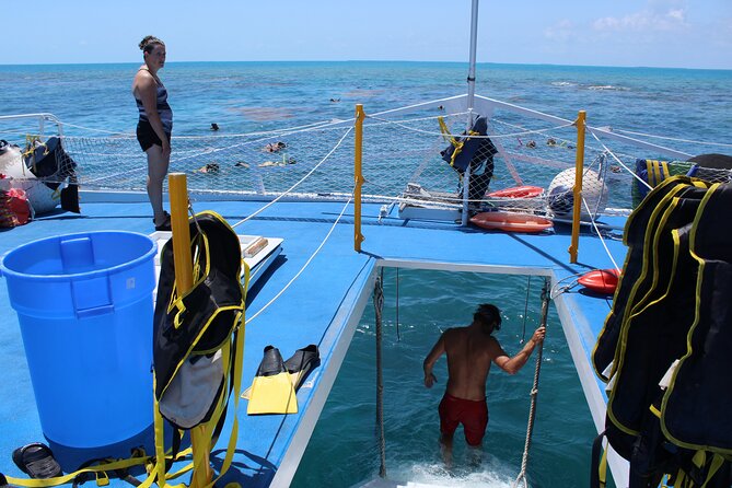 Sun, Snorkel & Sip : Key West Day Trip from Miami - Key points to know before booking