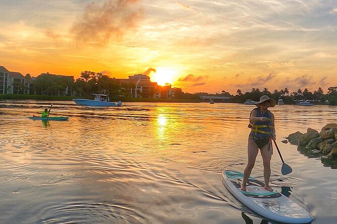 Sunrise Paddle Boarding Adventure in Jupiter - Fullerton Island and the chance to spot wildlife